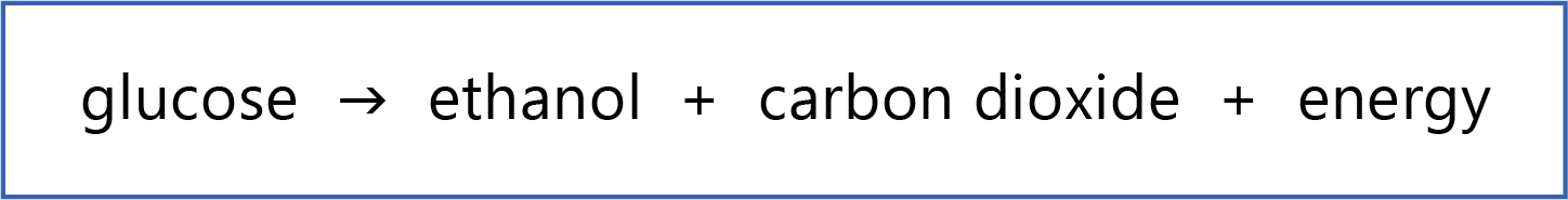 Respiration and Photosynthesis - Alcoholic Fermentation Equation