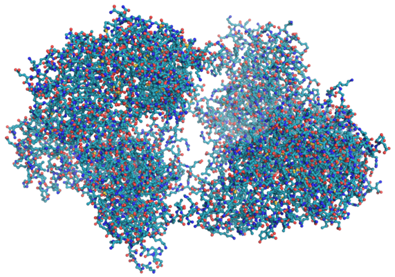 enzyme protein molecule structure