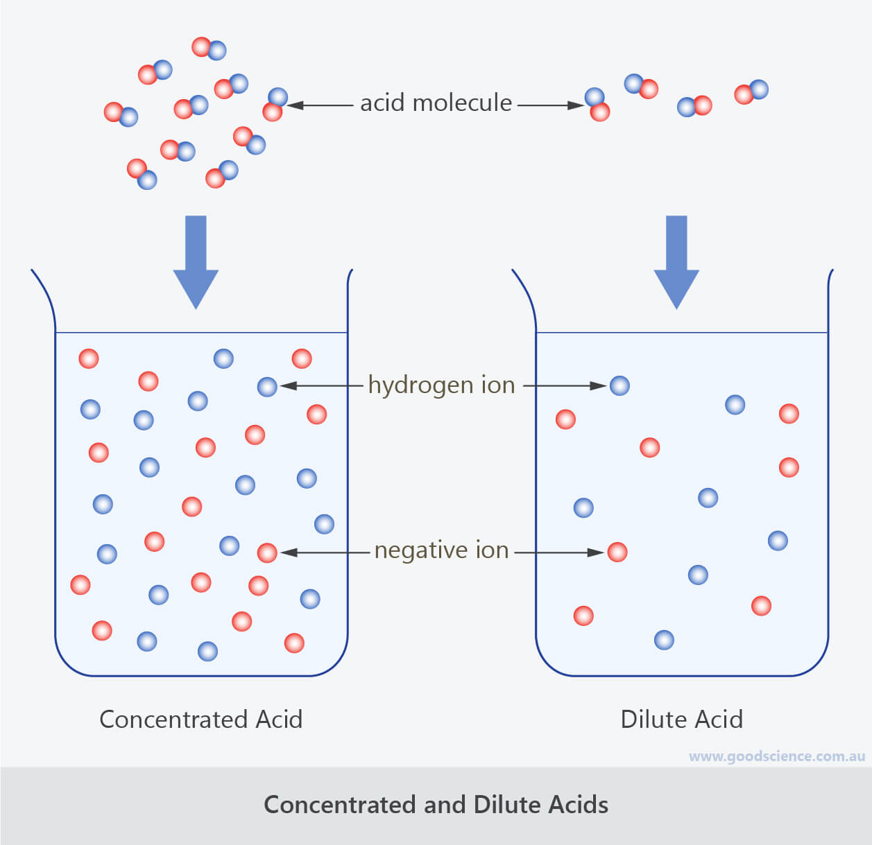 Dilute Solution Dilute Solution