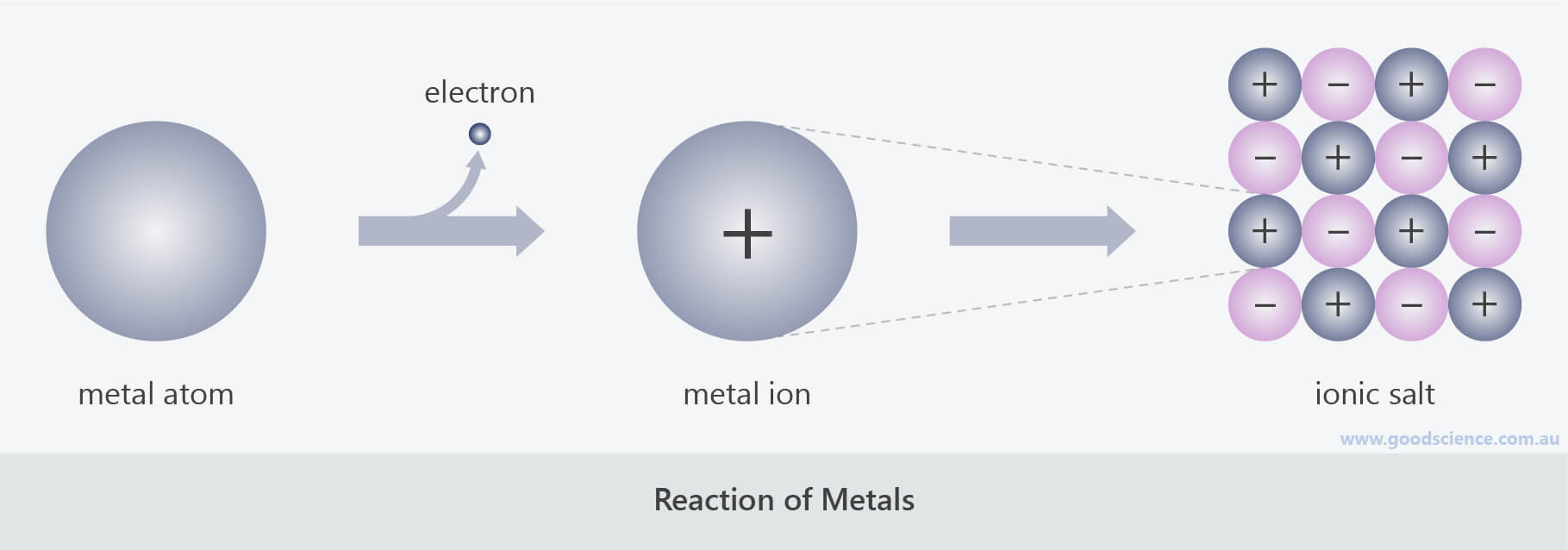 Metal Reactions Good Science
