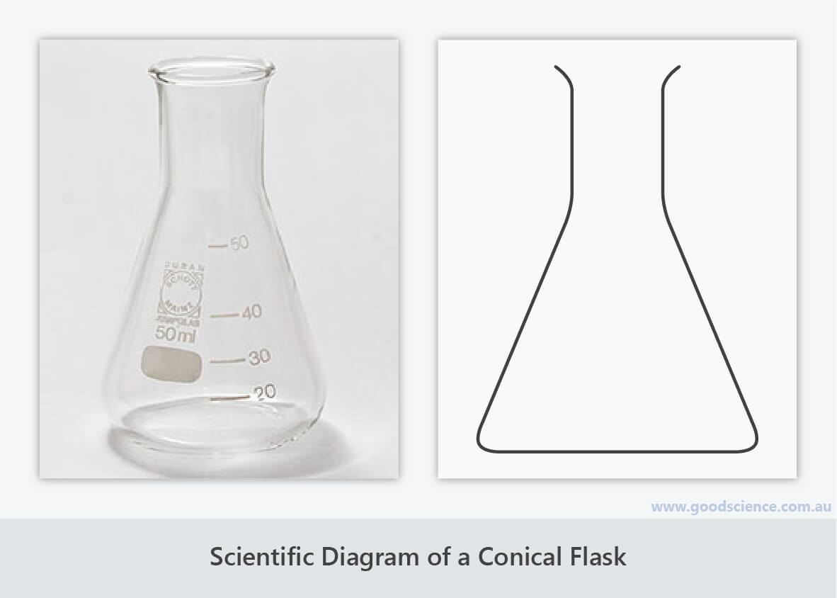 Conical Flask Drawing Flask Conical Drawing Erlenmeyer Laboratory 