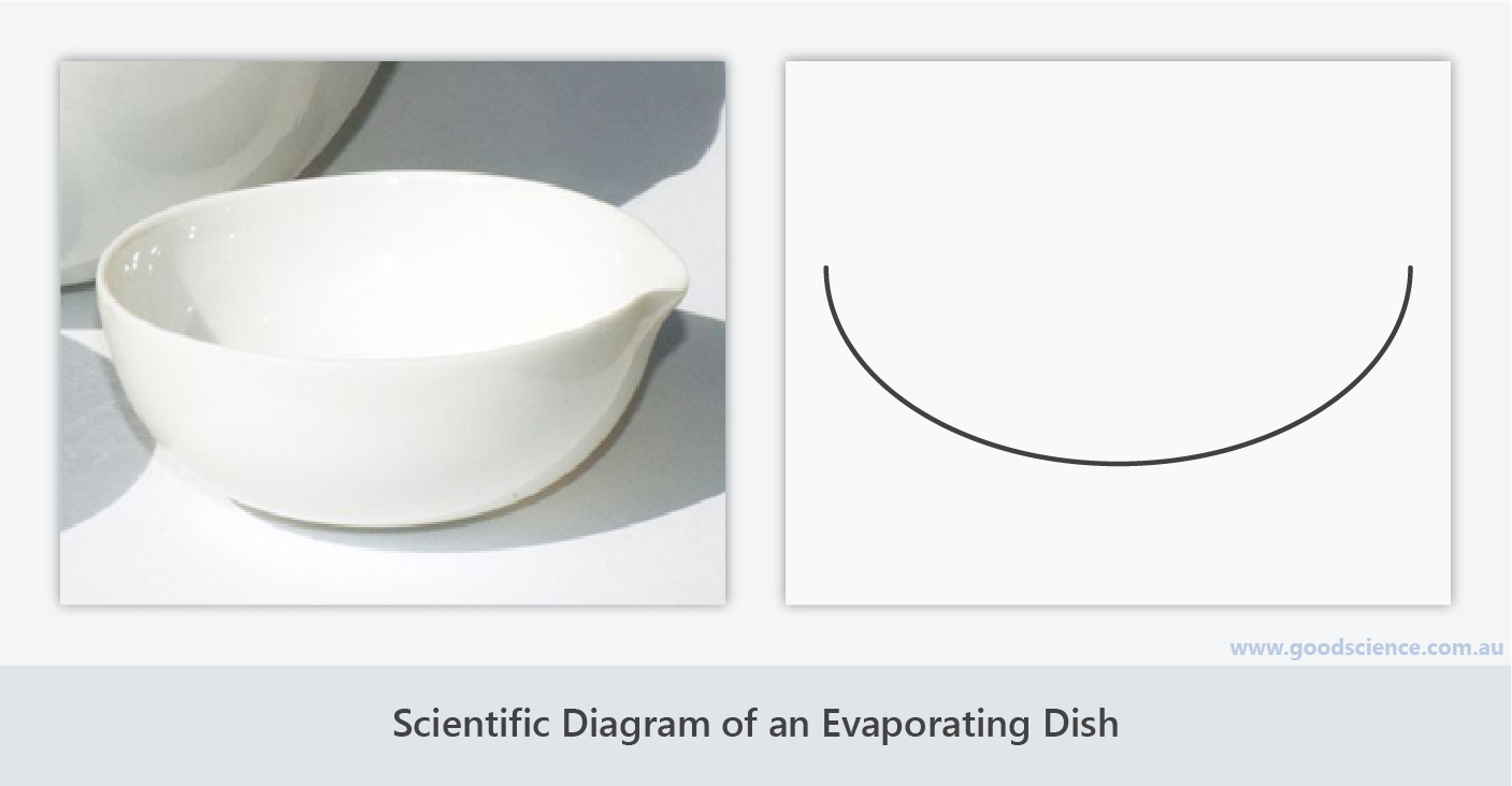 Scientific Diagrams | Good Science