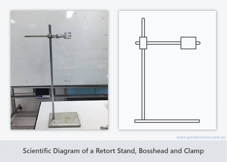 Scientific Diagrams Good Science