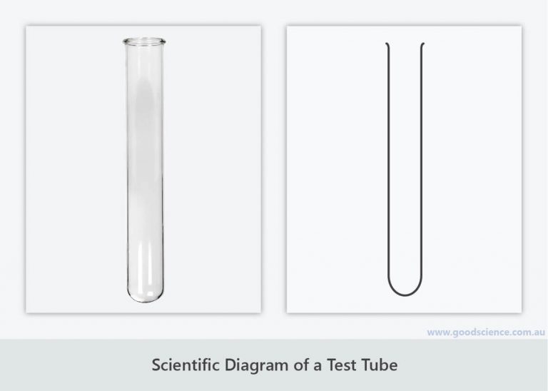 Scientific Diagrams Good Science