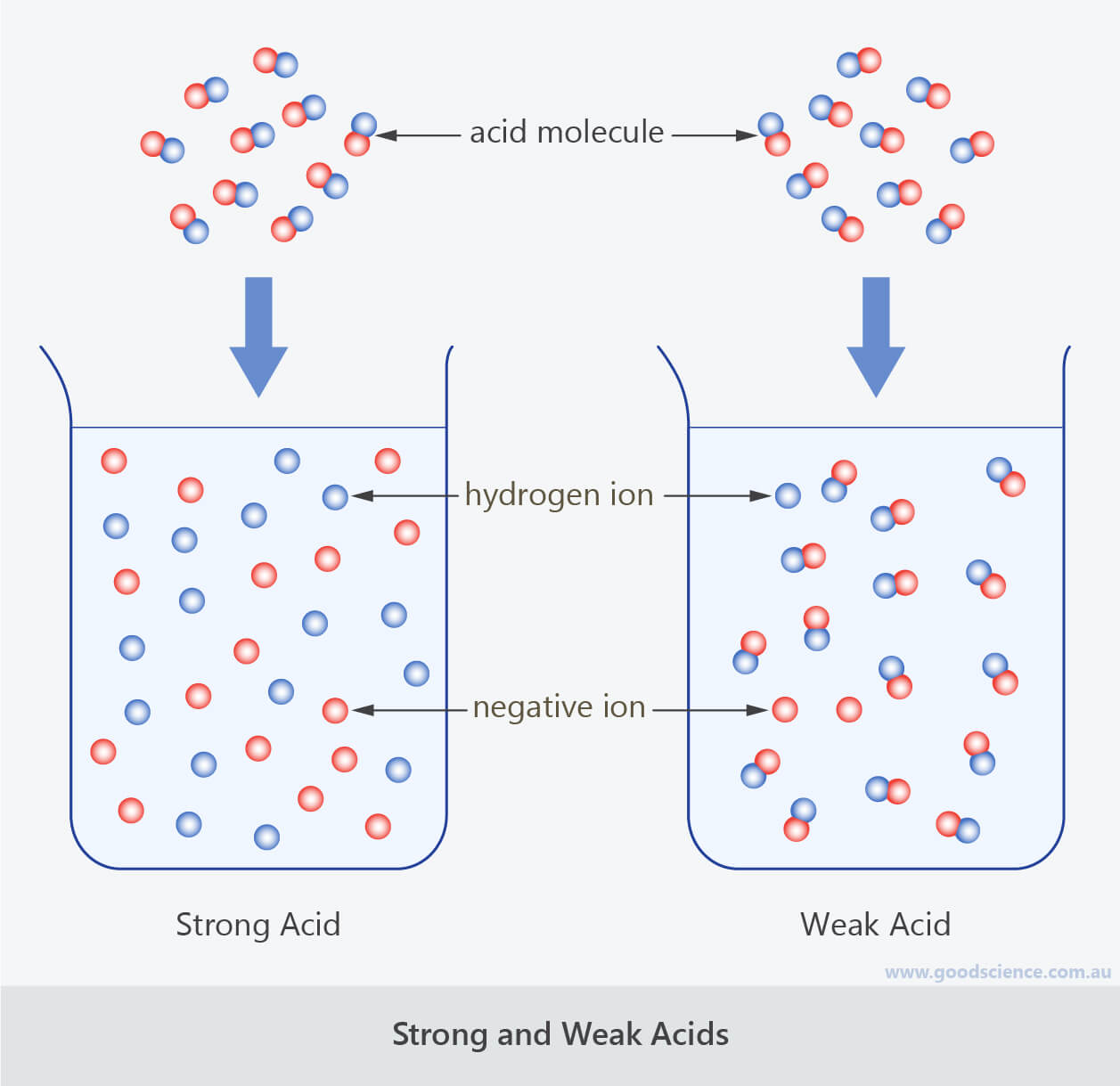 Strong Acid Chart