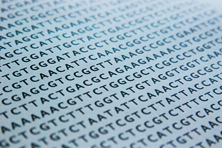 genetic code dna sequence