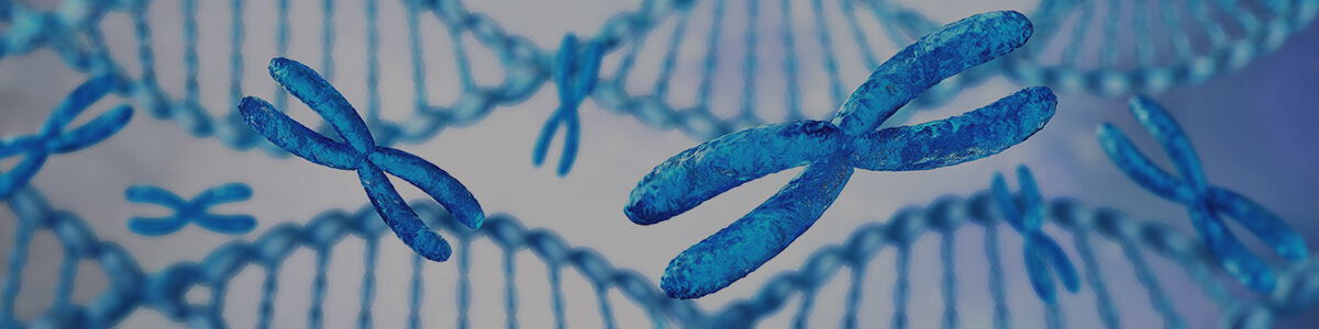 year 10 biology australian curriculum