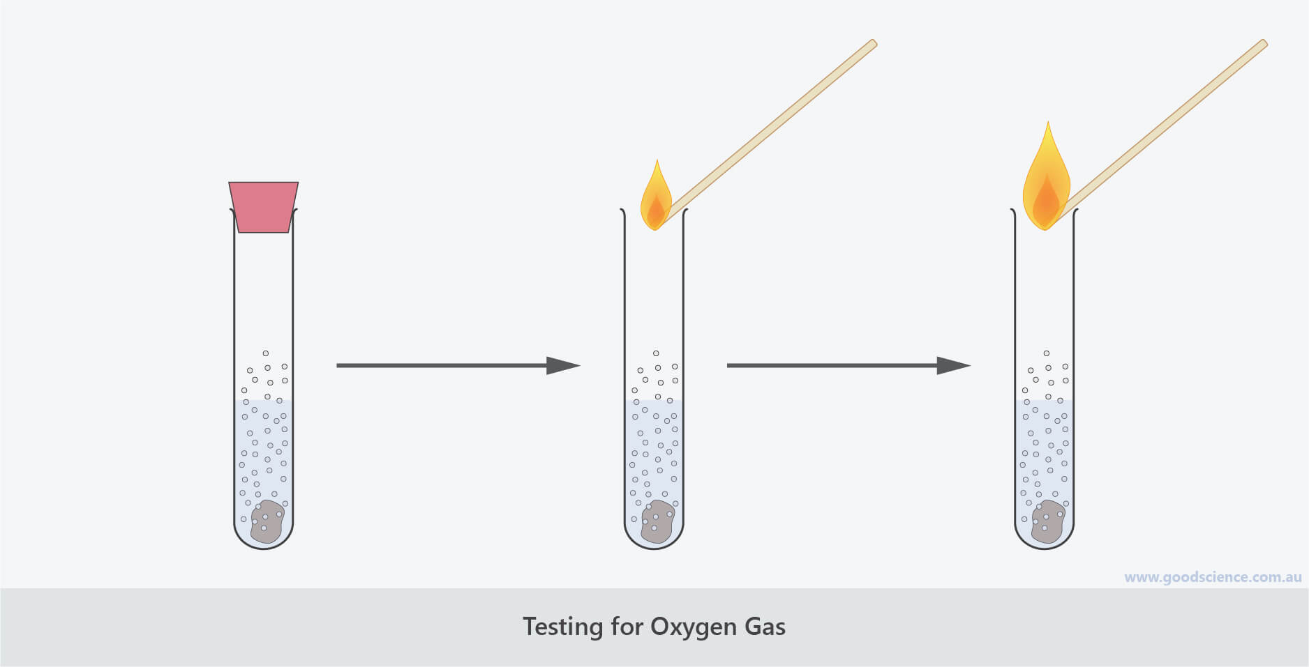 Investigating Chemical Reactions Good Science