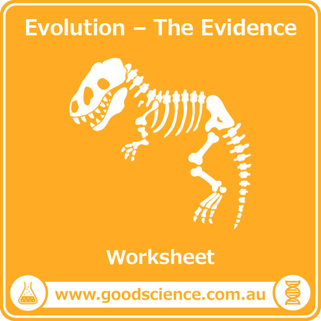 Evidence For Evolution Worksheet - Evidence For Evolution Grade 10 Free