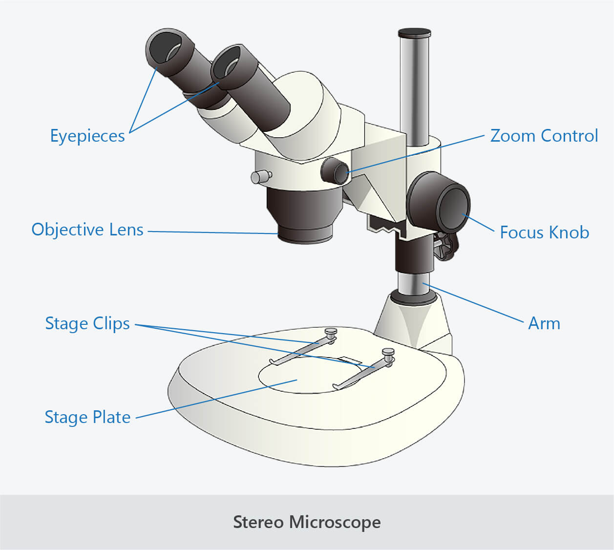 stereo microscope labelled