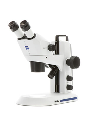 stereo dissecting microscope