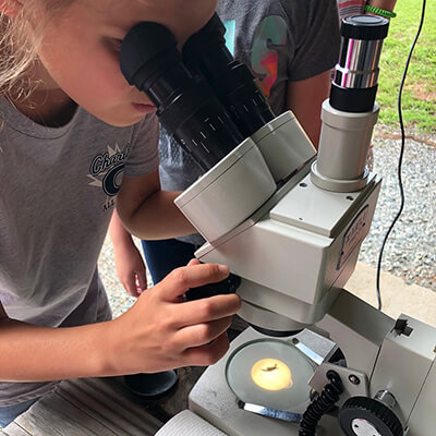 using a stereo microscope