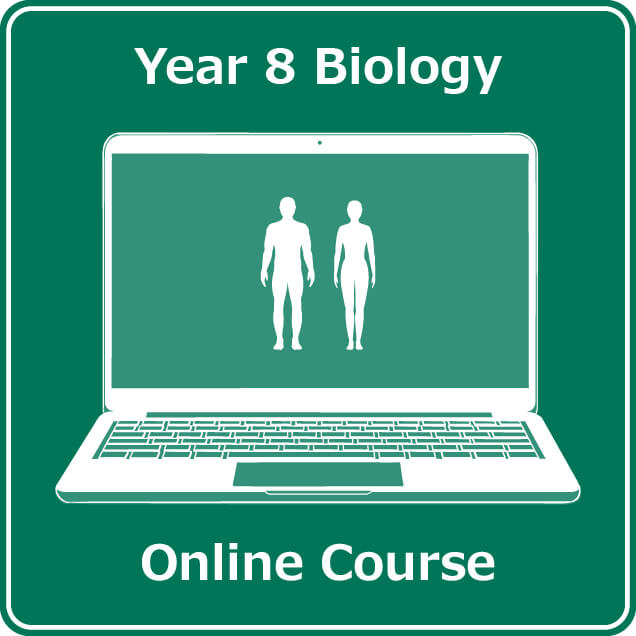 year 8 science chemistry online course australian curriculum