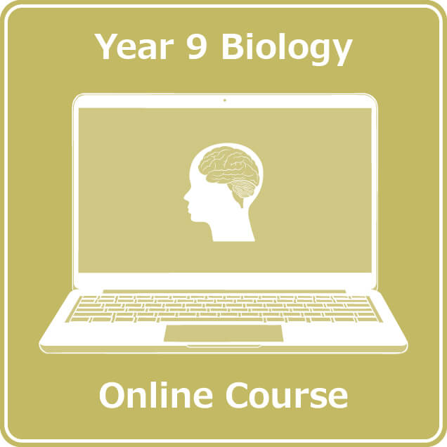 year 9 science chemistry online course australian curriculum